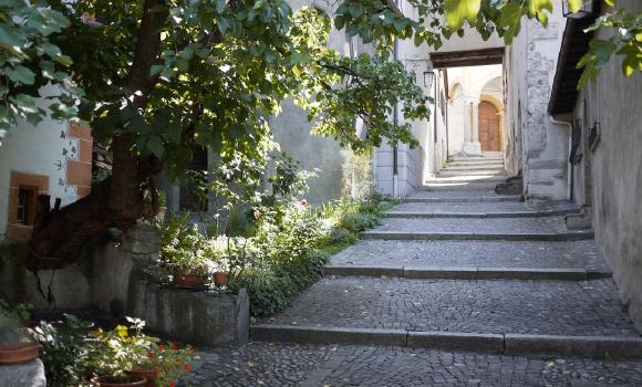 Immagine 2