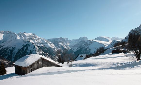 Pista Panorama