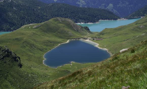 Immagine 2