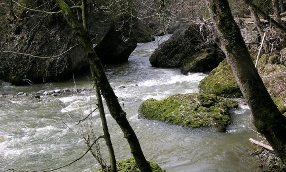 La Valle della Sihl – Salto di Sihlsprung – Bosco della Sihl