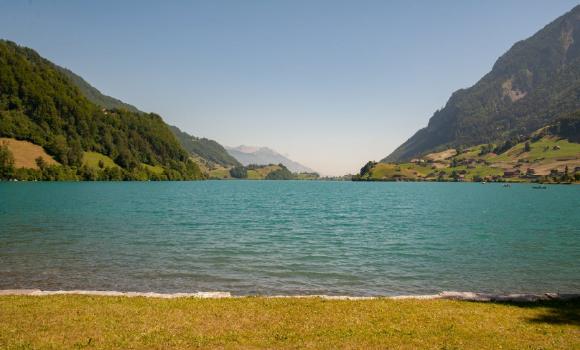 Immagine 3