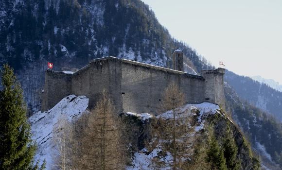 Immagine 2