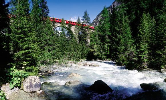 Immagine 6