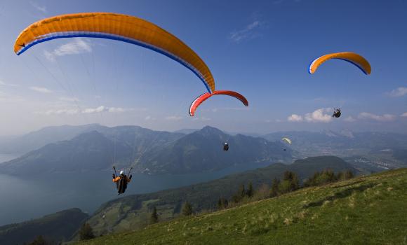 Immagine 3