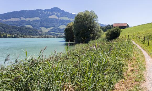 Sentier du Lac de la Gruyère, Tappa 1/3