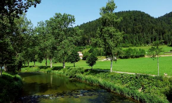 Chemin de l'Areuse