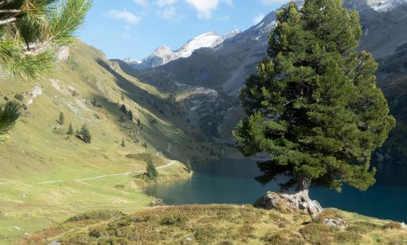 ViaSbrinz, Tappa 2/5