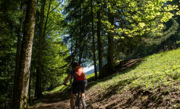 Neuchâtel Bike