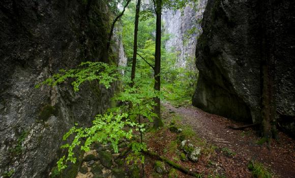 Weissenstein-Passwang-Weg