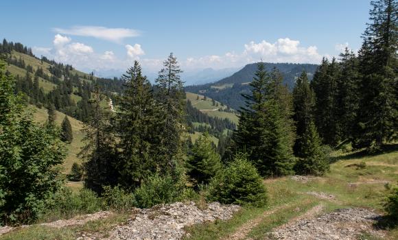 Schwyzer Höhenweg, Tappa 2/5
