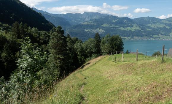 Rigi Scheidegg-Weg