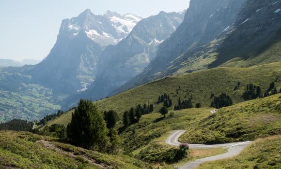Alpine Bike, Tappa 12/16