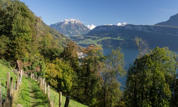 Waldstätterweg, Tappa 1/7