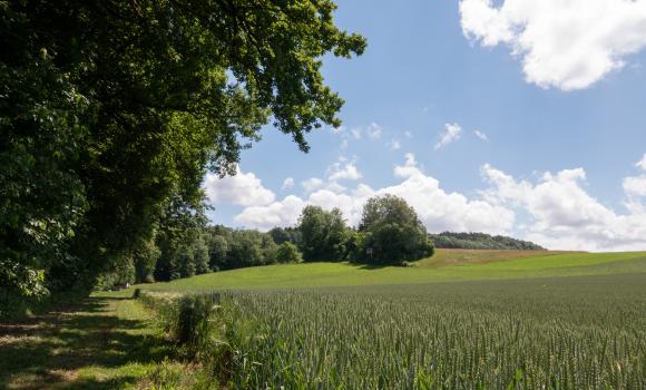 Tüfelschilen-Schauenberg Weg