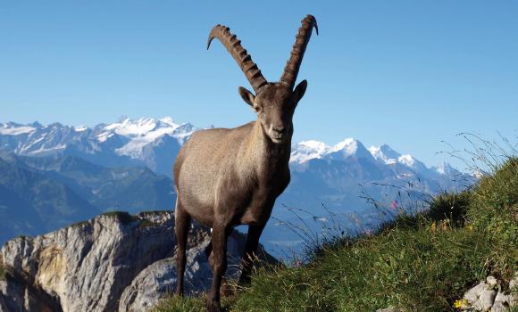 Risveglio in quota sopra il lago