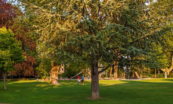 Parco cittadino