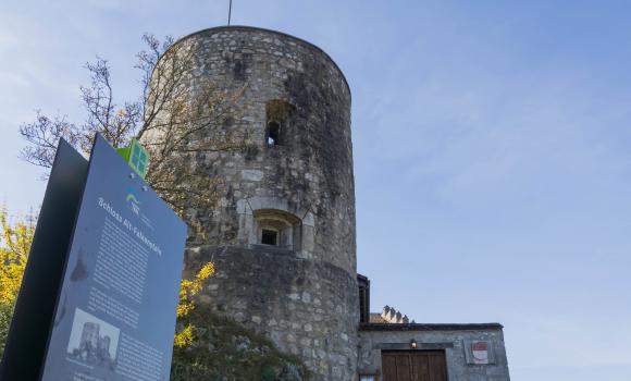 Castello di Alt-Falkenstein