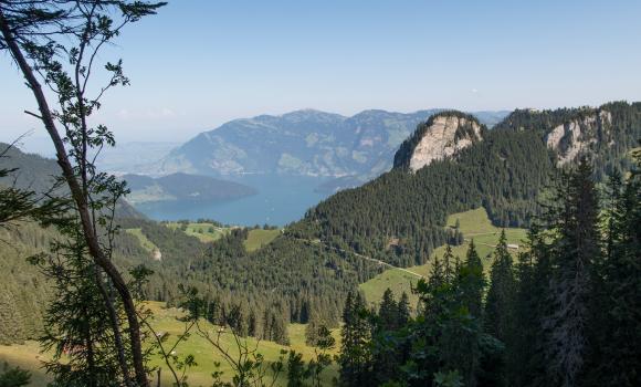 Bärfallen-Panorama-Weg