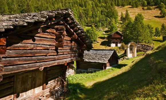 Caccia al tesoro nel bosco dei Weltu