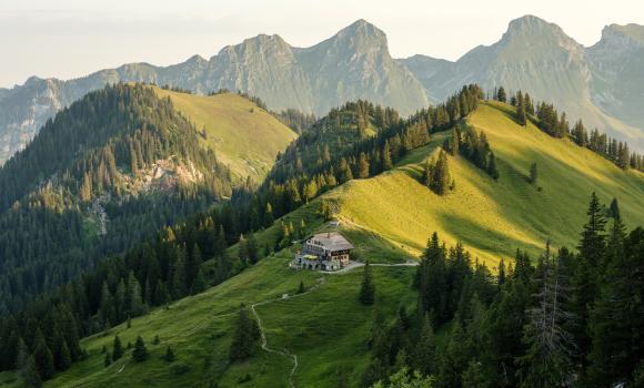 Chemin des préalpes fribourgeoises