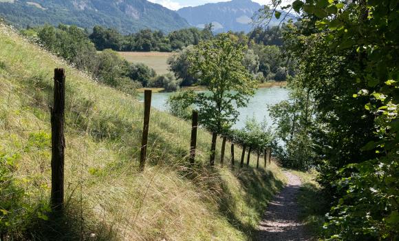 Sentier du Lac de la Gruyère