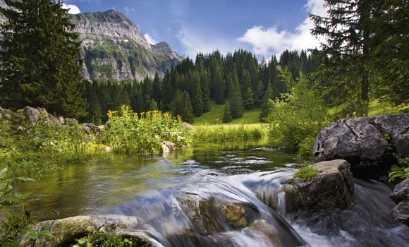 Appenzeller Alpenweg