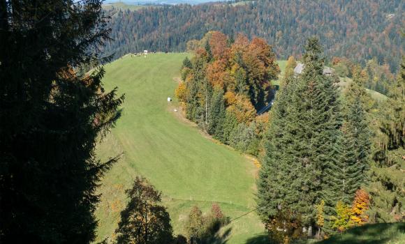 Sentiero alpino panoramico 