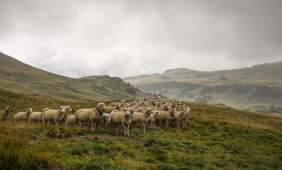 Via Alpina, Tappa 16/20