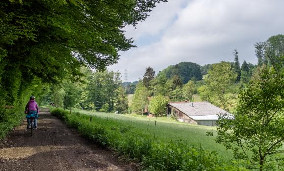 Tour du Mont Pélerin