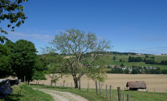 Fribourg en diagonale