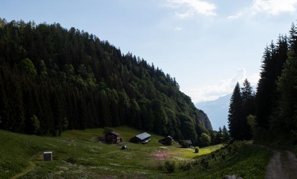 Chemin du Lac de Taney