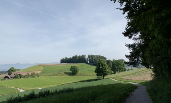 Herzschlaufe Burgdorf, Tappa 1/2