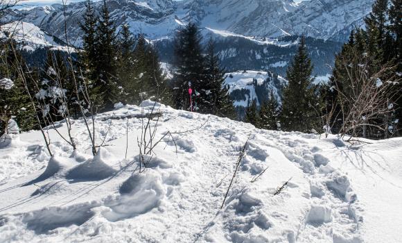 Parcours Les Bouquetins–Villars