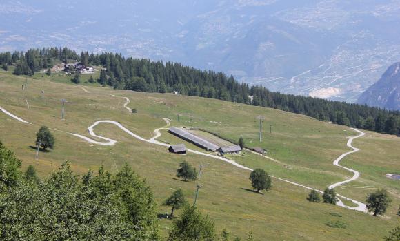 Visit an alpine cheese factory