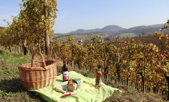 Picnic «In giro per Herznach»