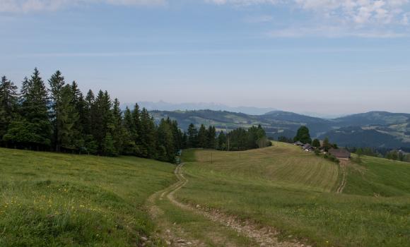 Trans Swiss Trail