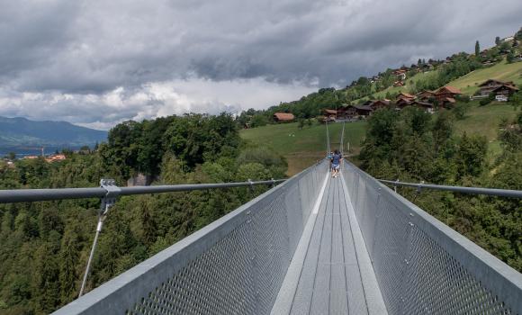 Panorama Rundweg Thunersee