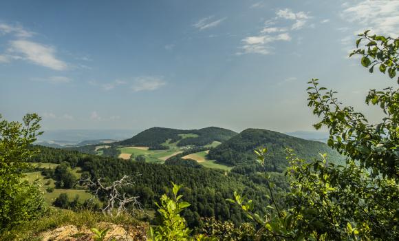 Sentiero in cresta del Giura