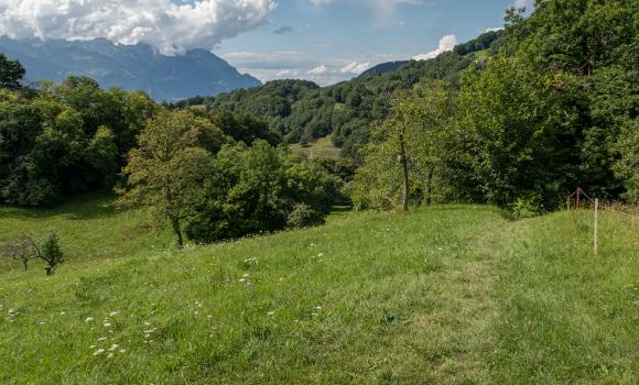 Tour des Alpes Vaudoises