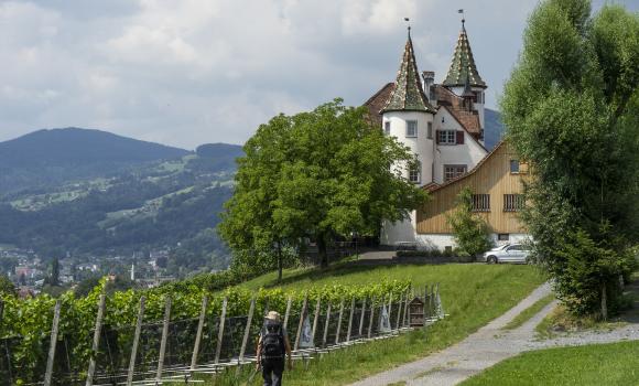 Rheintaler Höhenweg