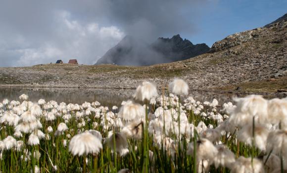 Sentiero Alpino Calanca