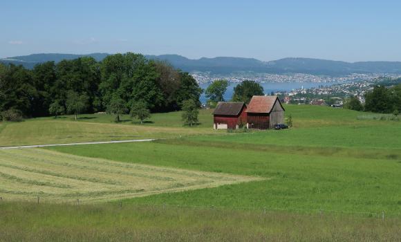 Zürichsee-Rundweg