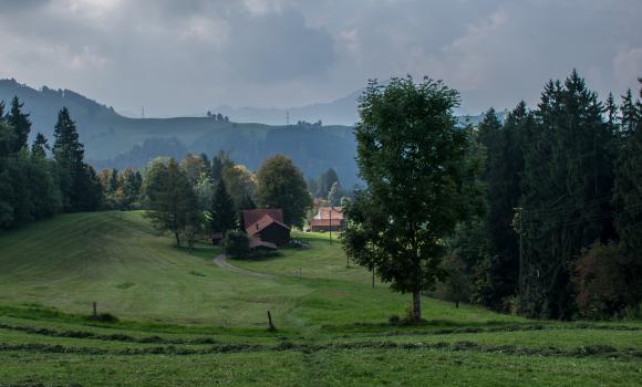 Wildmannli Bike, Tappa 3/3