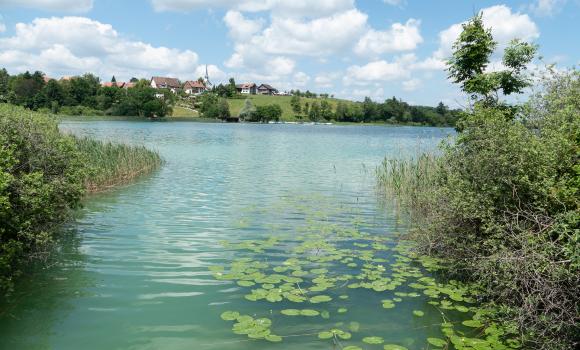 Pfäffikersee-Rundweg