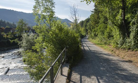 Zürichsee-Rundweg