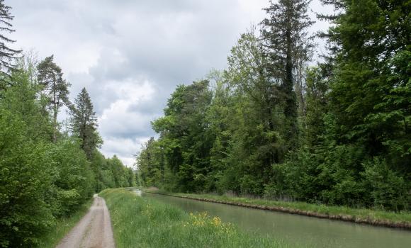 Thur-Uferweg