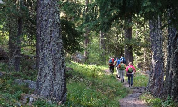 Zauberwasser-Weg Grächen