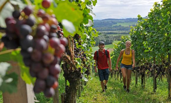 Azienda vinicola Wolfer