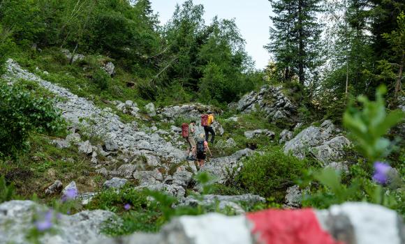 Chemin des préalpes fribourgeoises