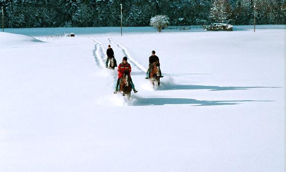 A cavallo nei paesaggi invernali innevati